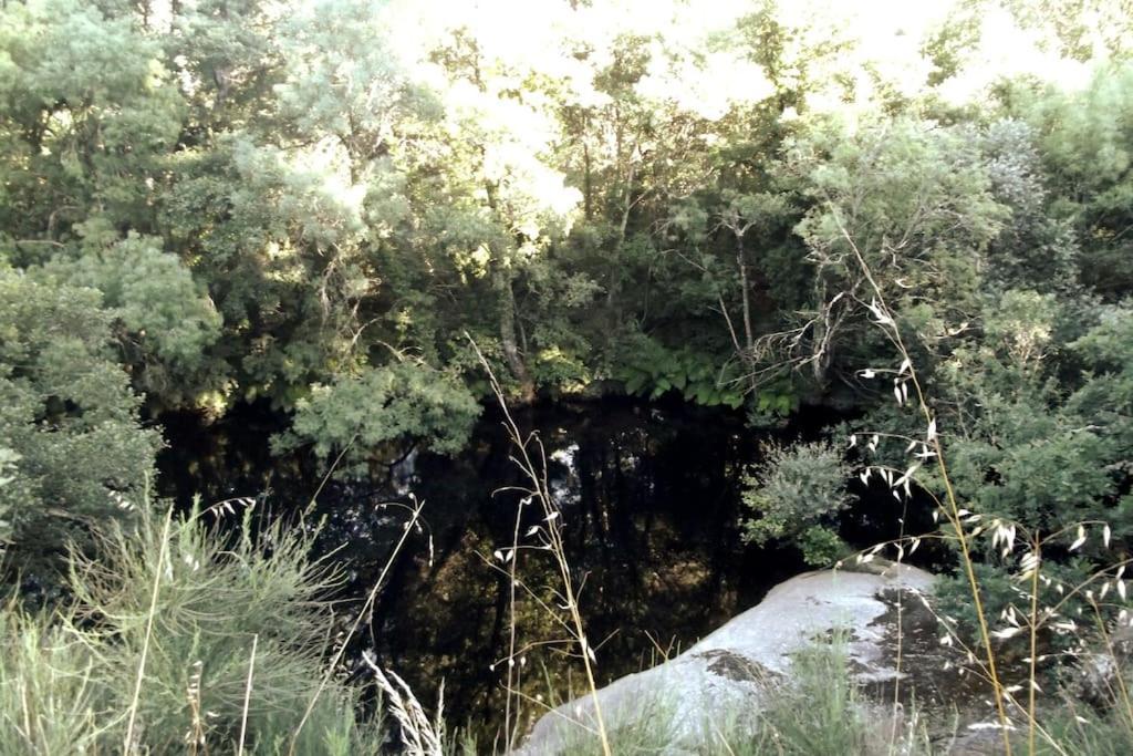 グアルダQuinta Do Pinaアパートメント エクステリア 写真