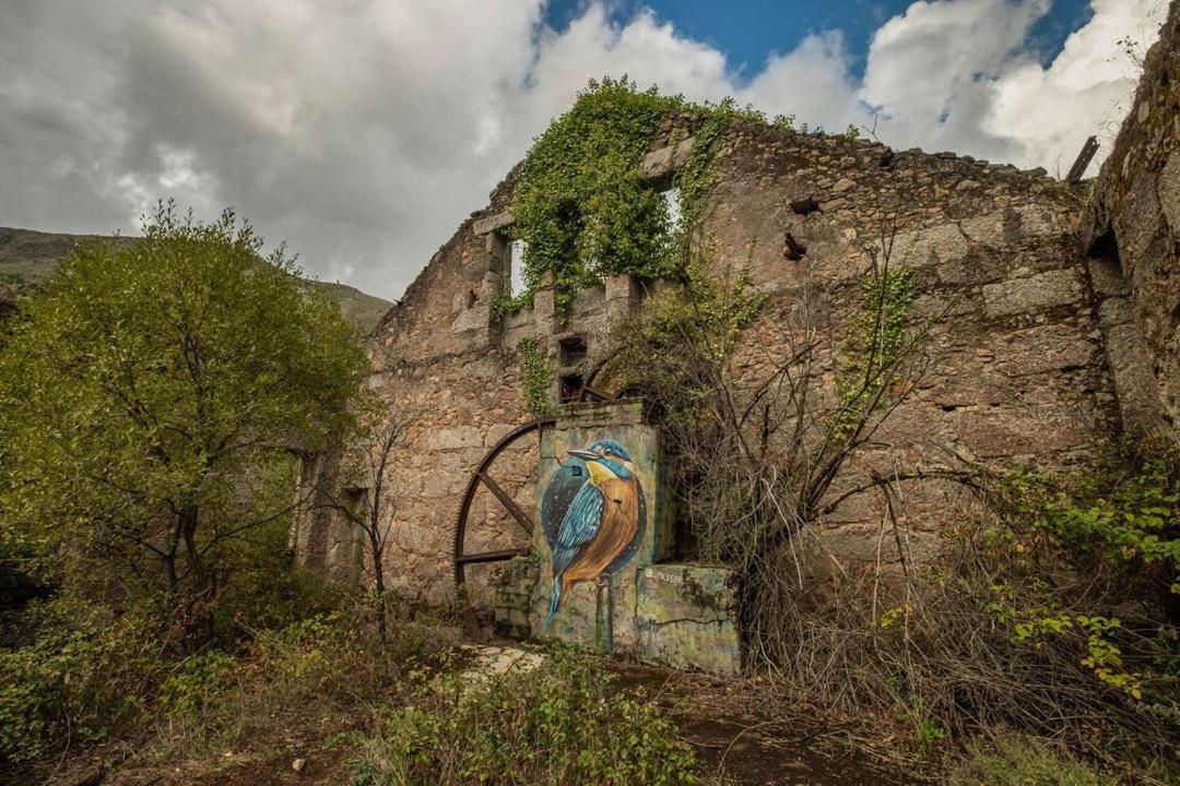 グアルダQuinta Do Pinaアパートメント エクステリア 写真